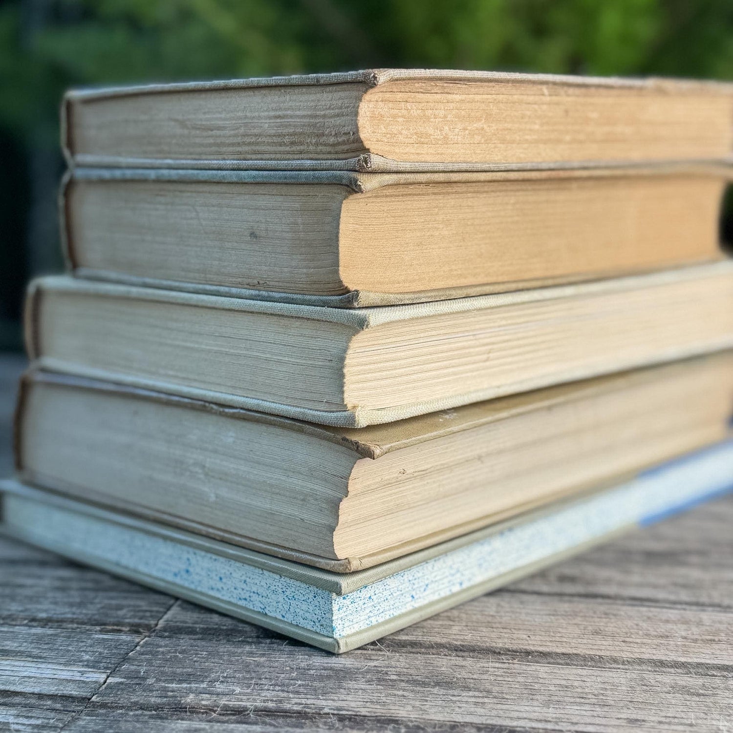 Blue & Tan Soft and Cozy Vintage Book Bundle