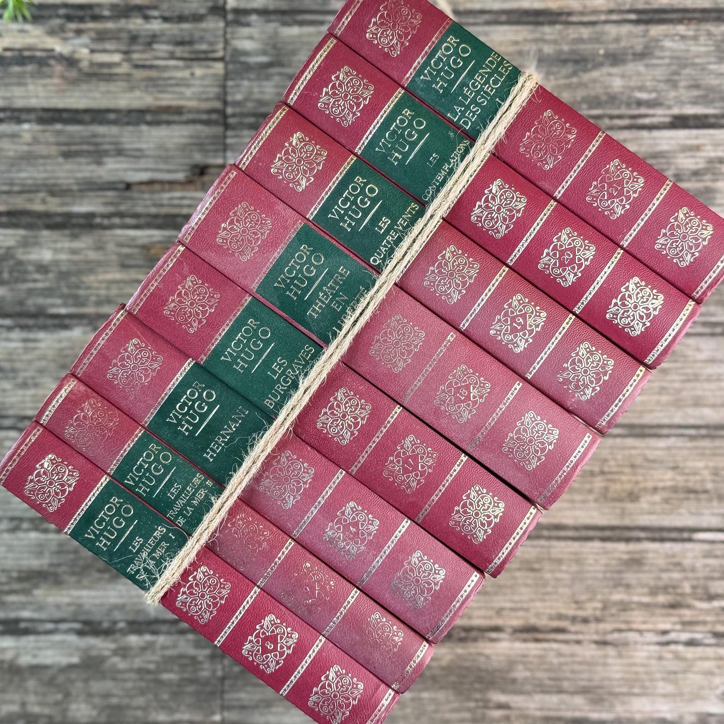 Victor Hugo Ornate Vintage Red and Green Books in French