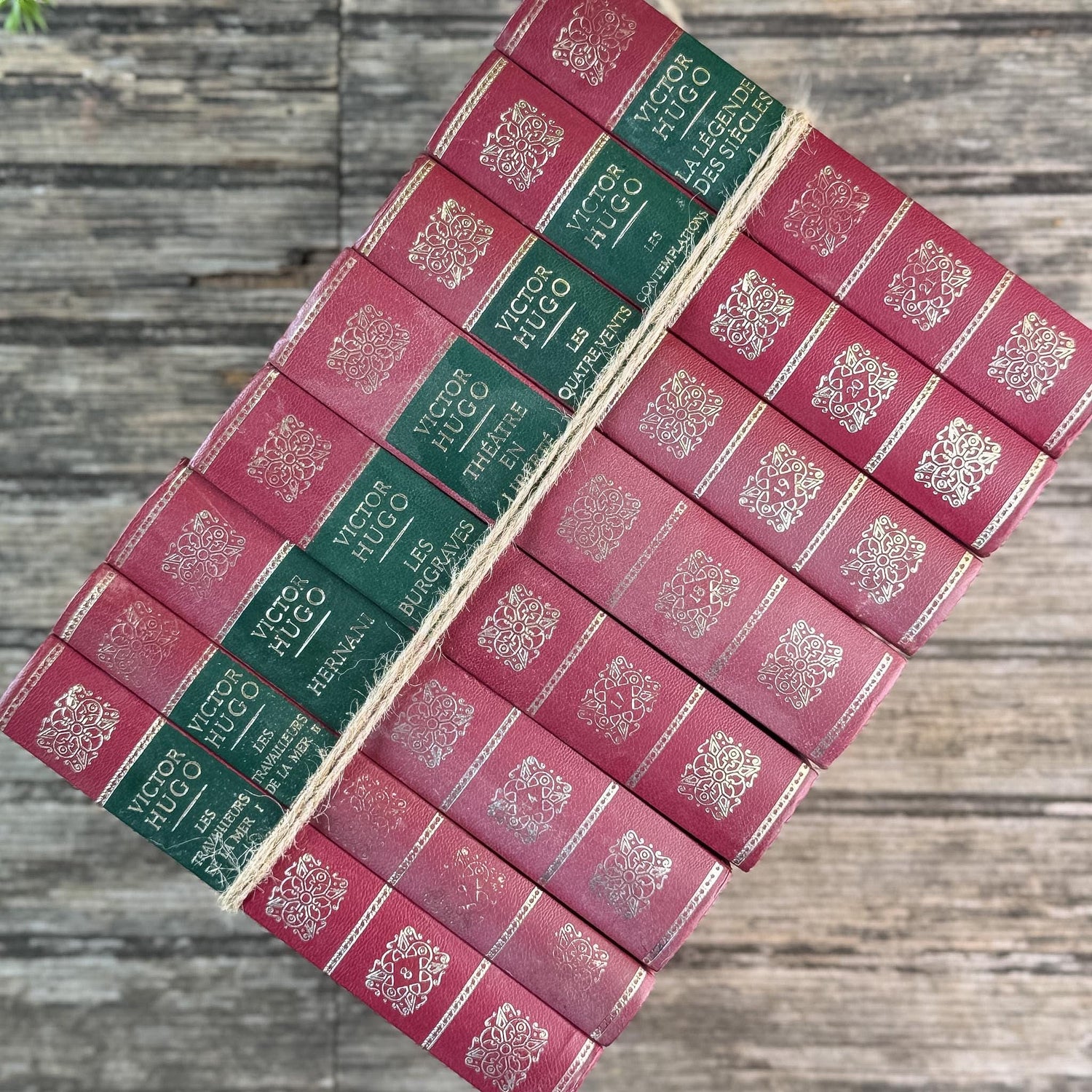Victor Hugo Ornate Vintage Red and Green Books in French