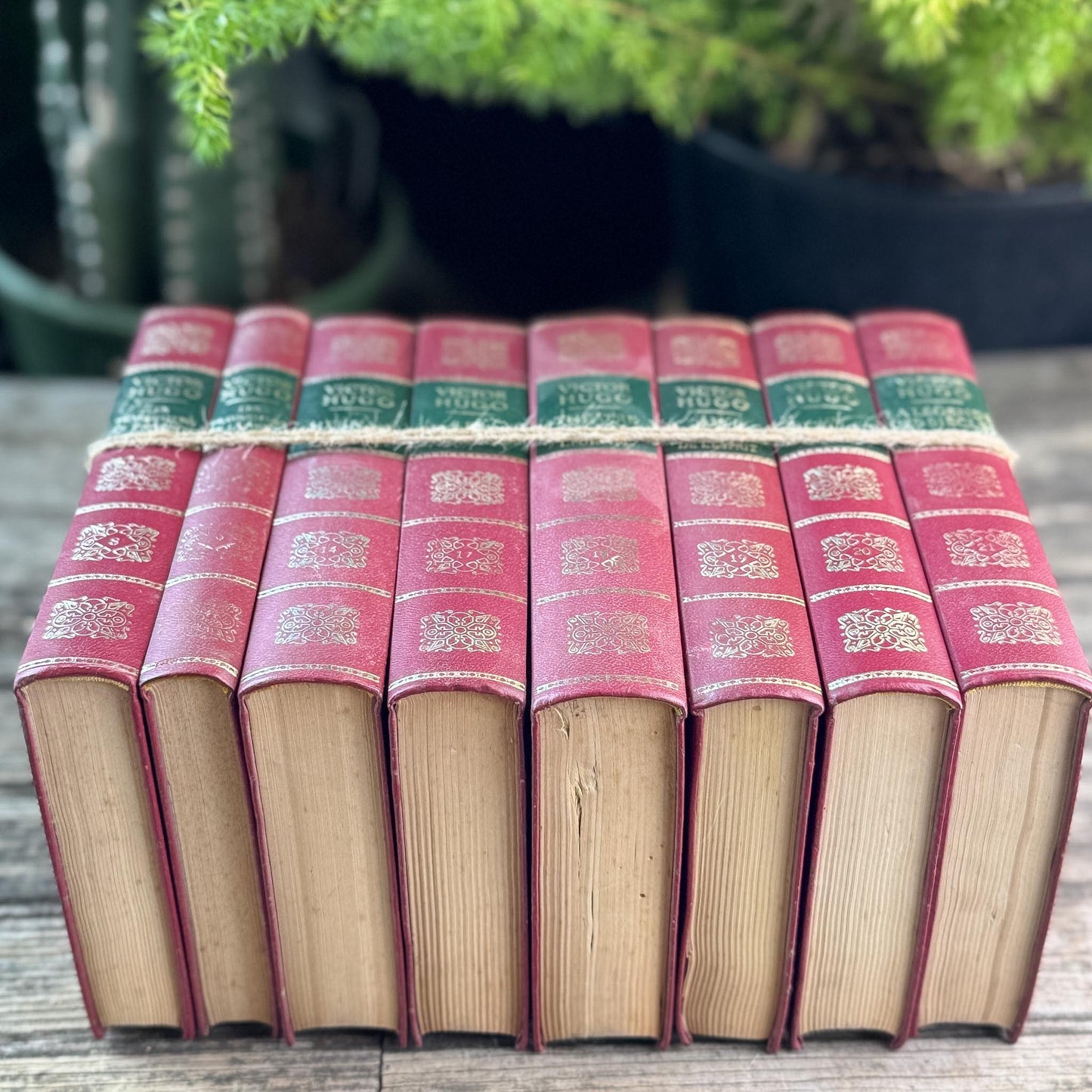 Victor Hugo Ornate Vintage Red and Green Books in French