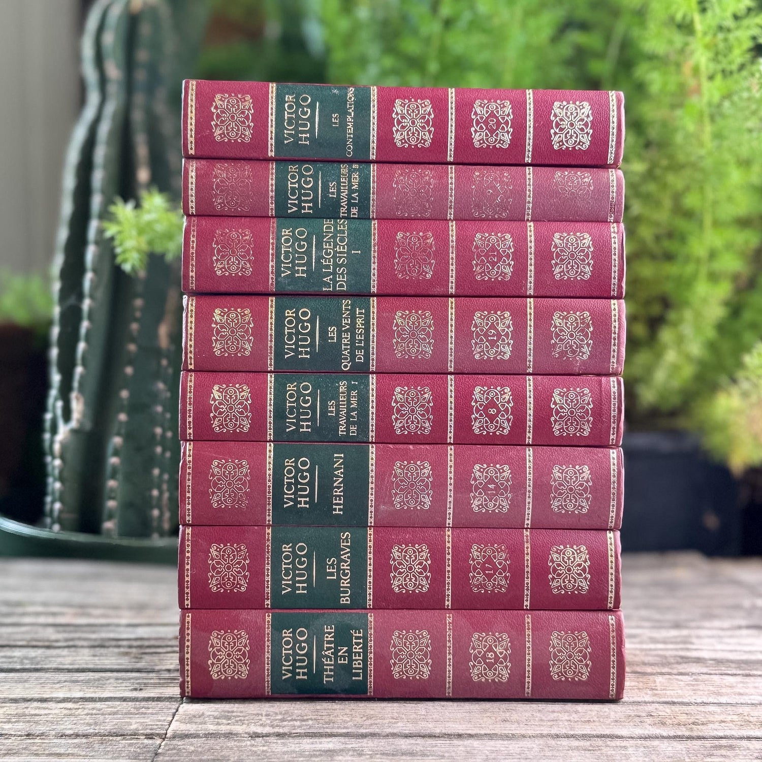 Victor Hugo Ornate Vintage Red and Green Books in French