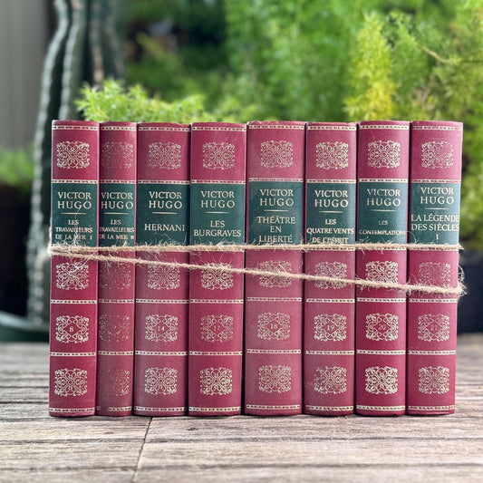 Victor Hugo Ornate Vintage Red and Green Books in French