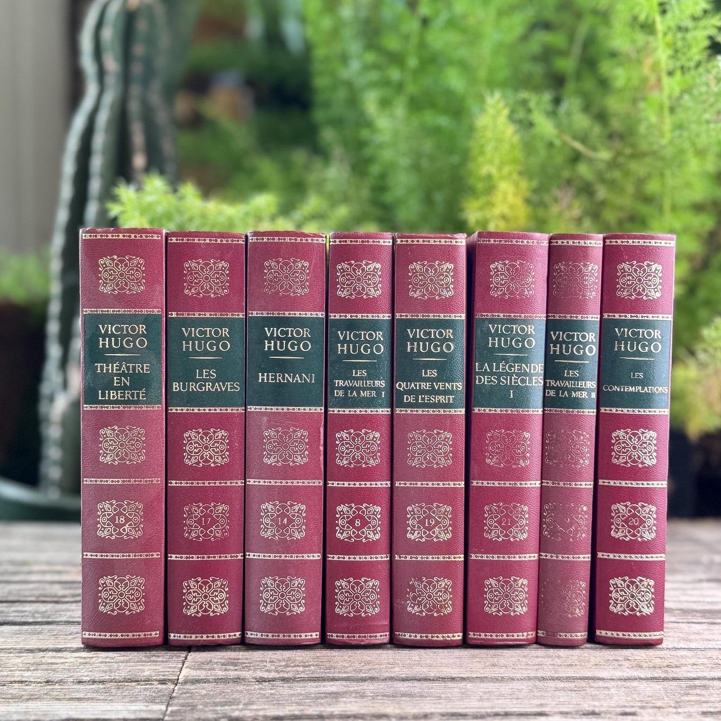 Victor Hugo Ornate Vintage Red and Green Books in French