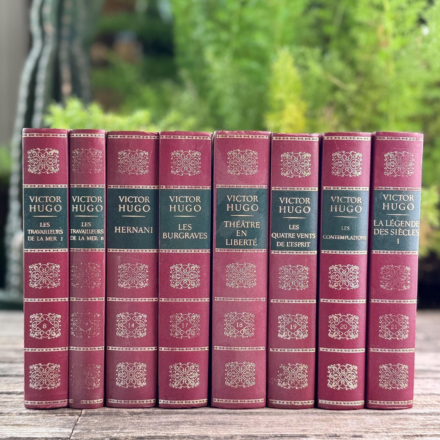 Victor Hugo Ornate Vintage Red and Green Books in French