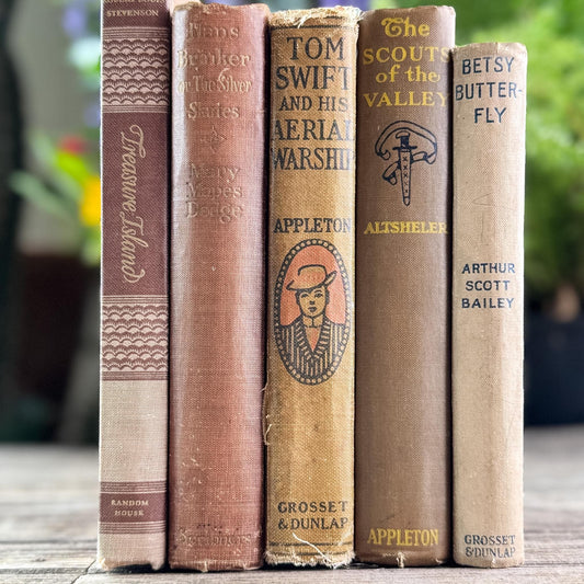 Neutral Brown Mauve Tan Children's Vintage Book Set For Shelf Styling