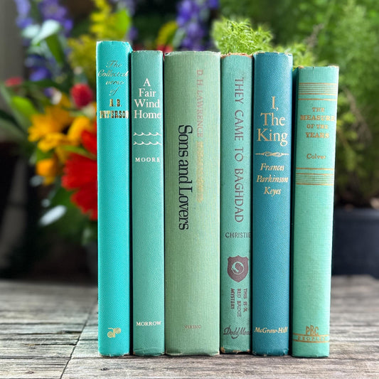 Turquoise and Teal Green Book Bundle for Bookshelf Decor