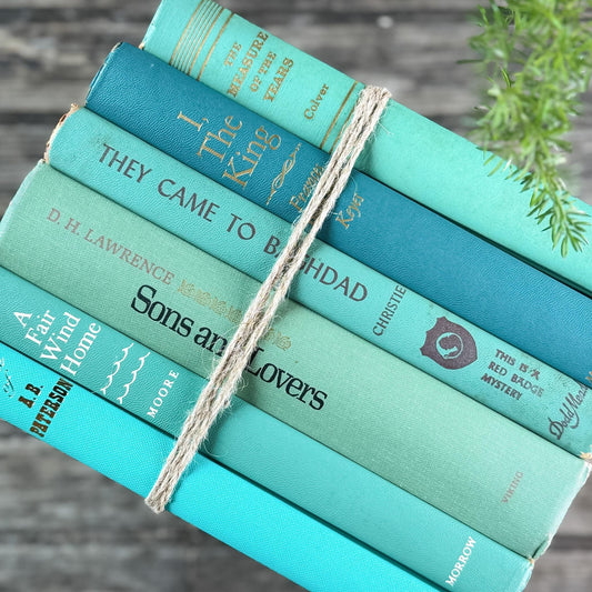 Turquoise and Teal Green Book Bundle for Bookshelf Decor