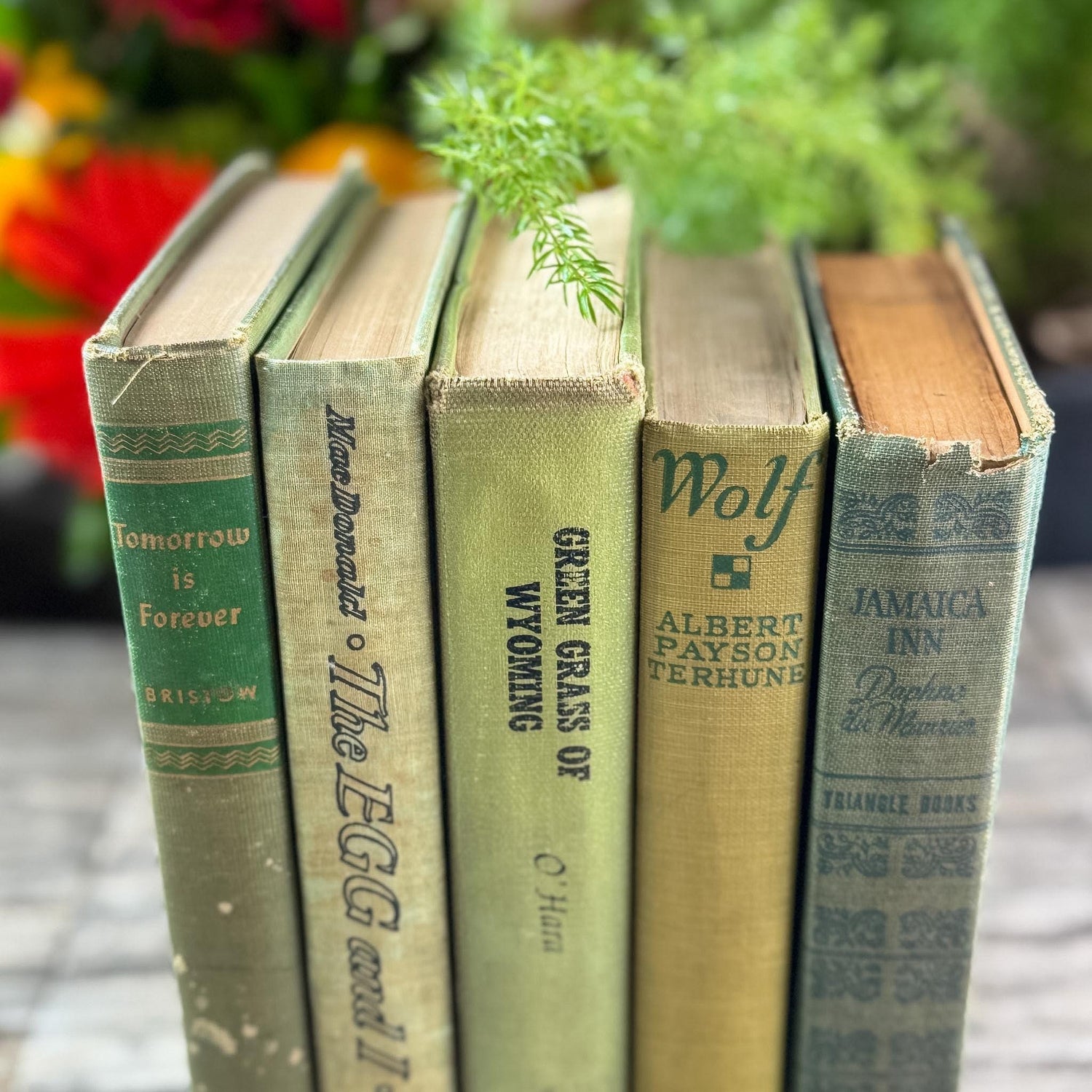 Olive Green Shabby Faded Books for Shelf Styling