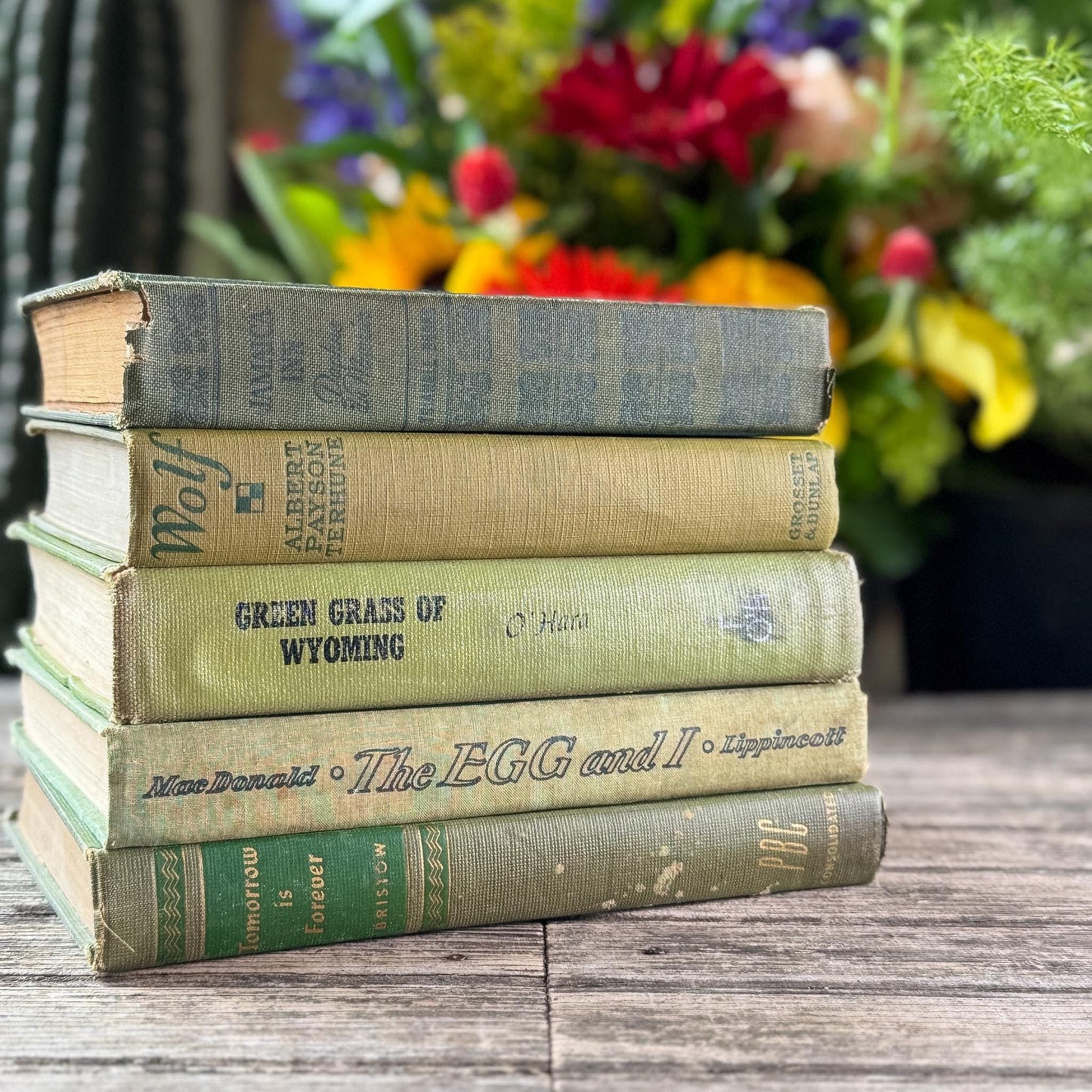 Olive Green Shabby Faded Books for Shelf Styling