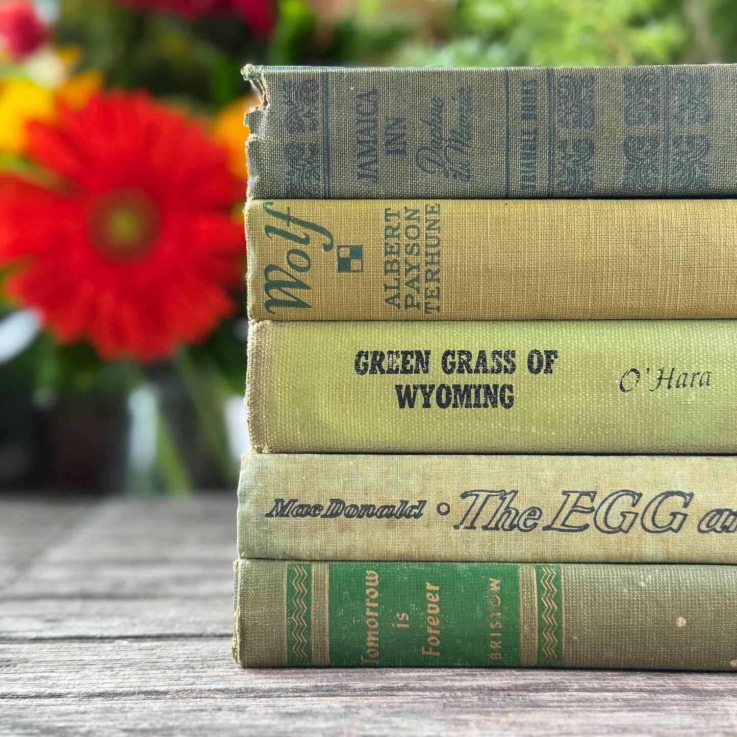 Olive Green Shabby Faded Books for Shelf Styling