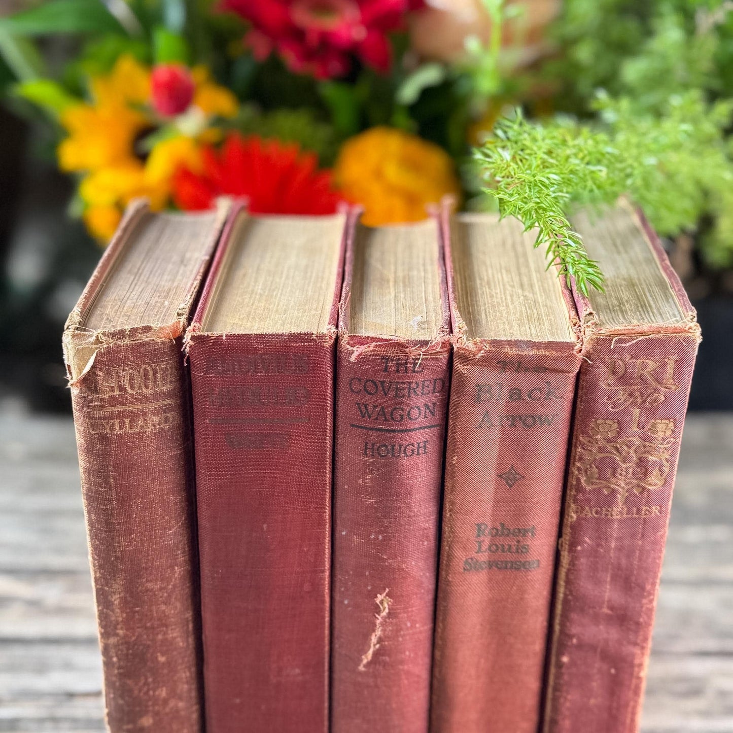 Antique Red Shabby Cozy Book Bundle