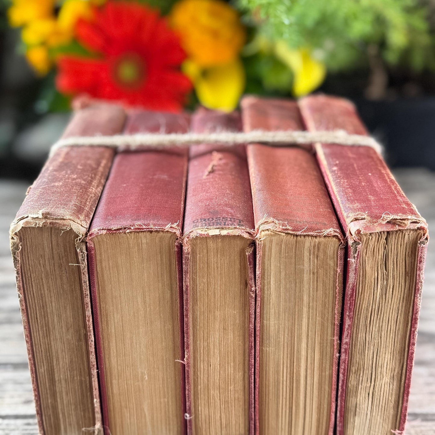 Antique Red Shabby Cozy Book Bundle