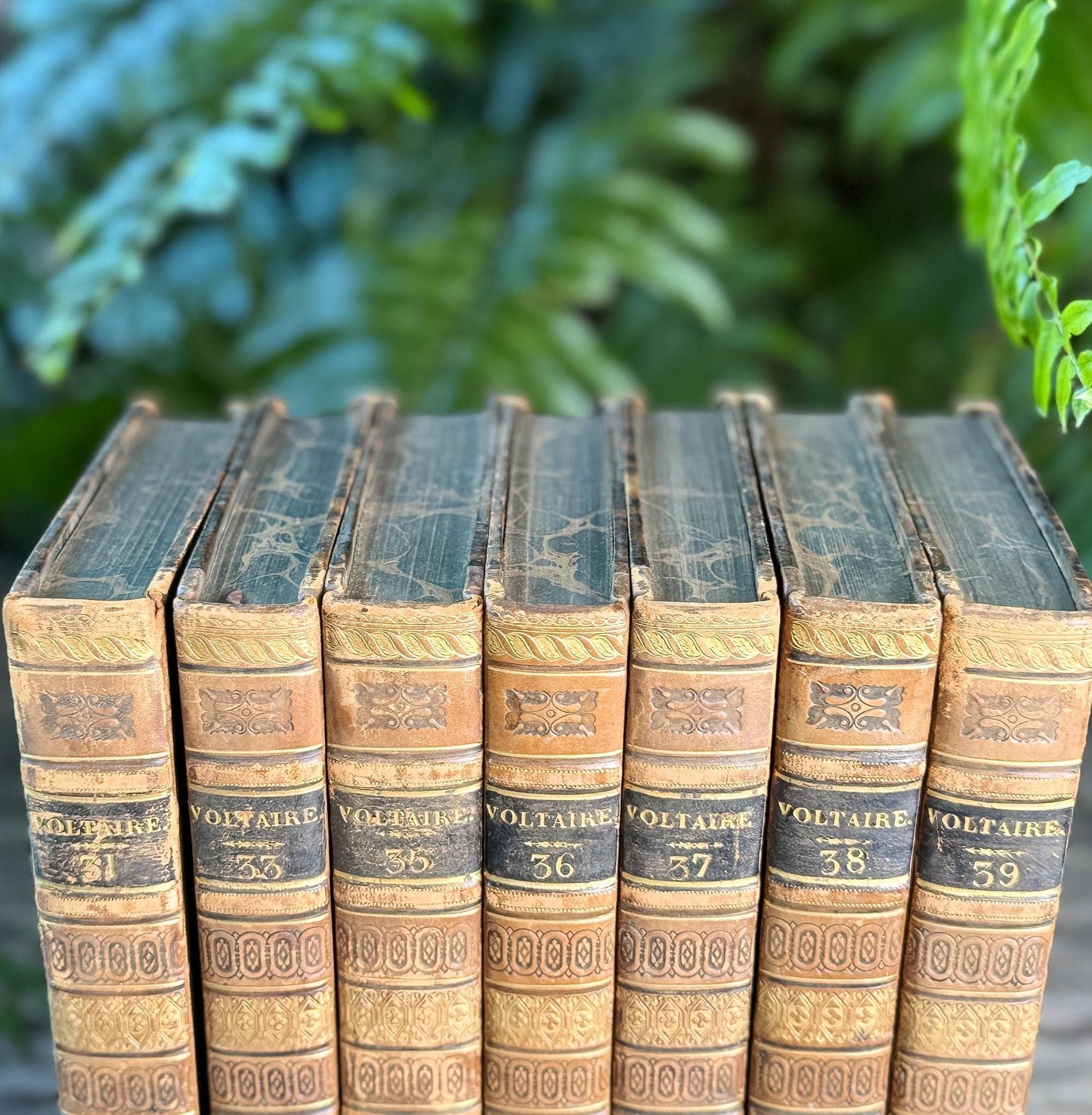Antique Leather-Bound Voltaire Books in French, 1825, Gold Black and Brown