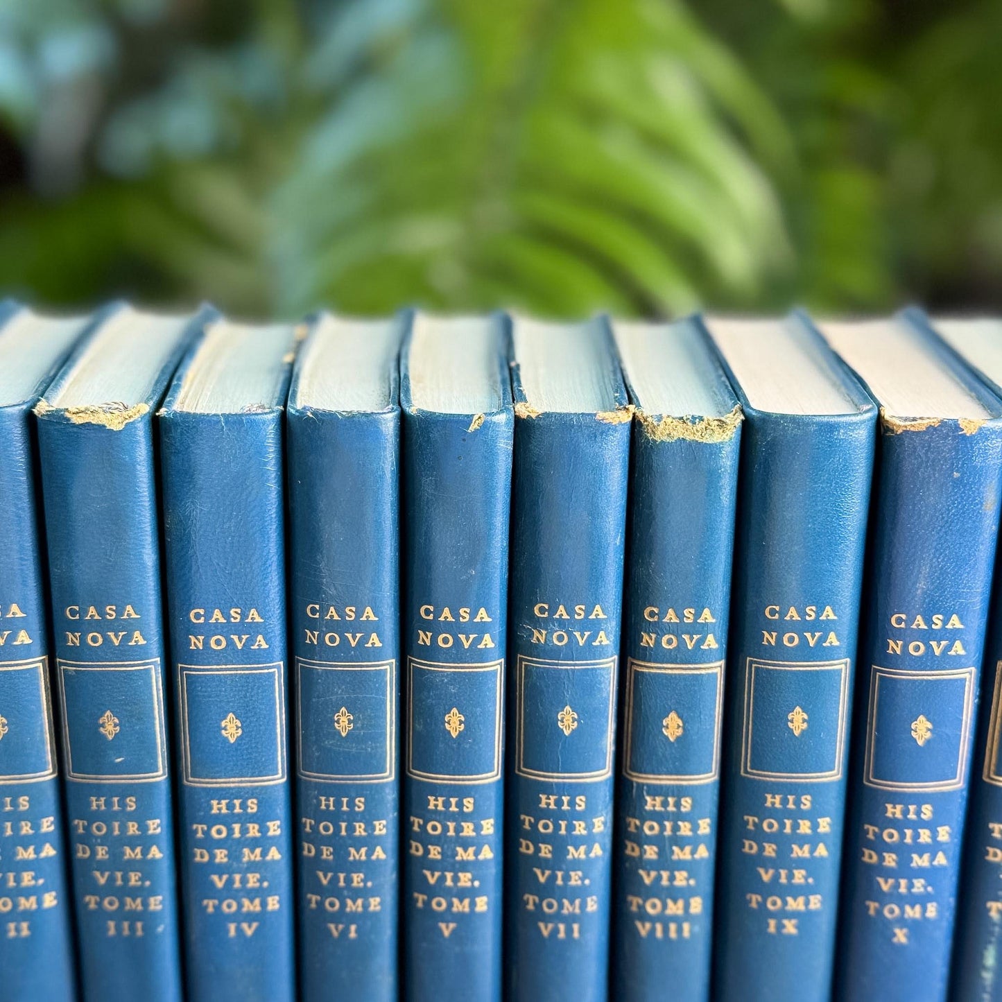 Memoirs of Casanova, Vintage Blue Mini Books in French
