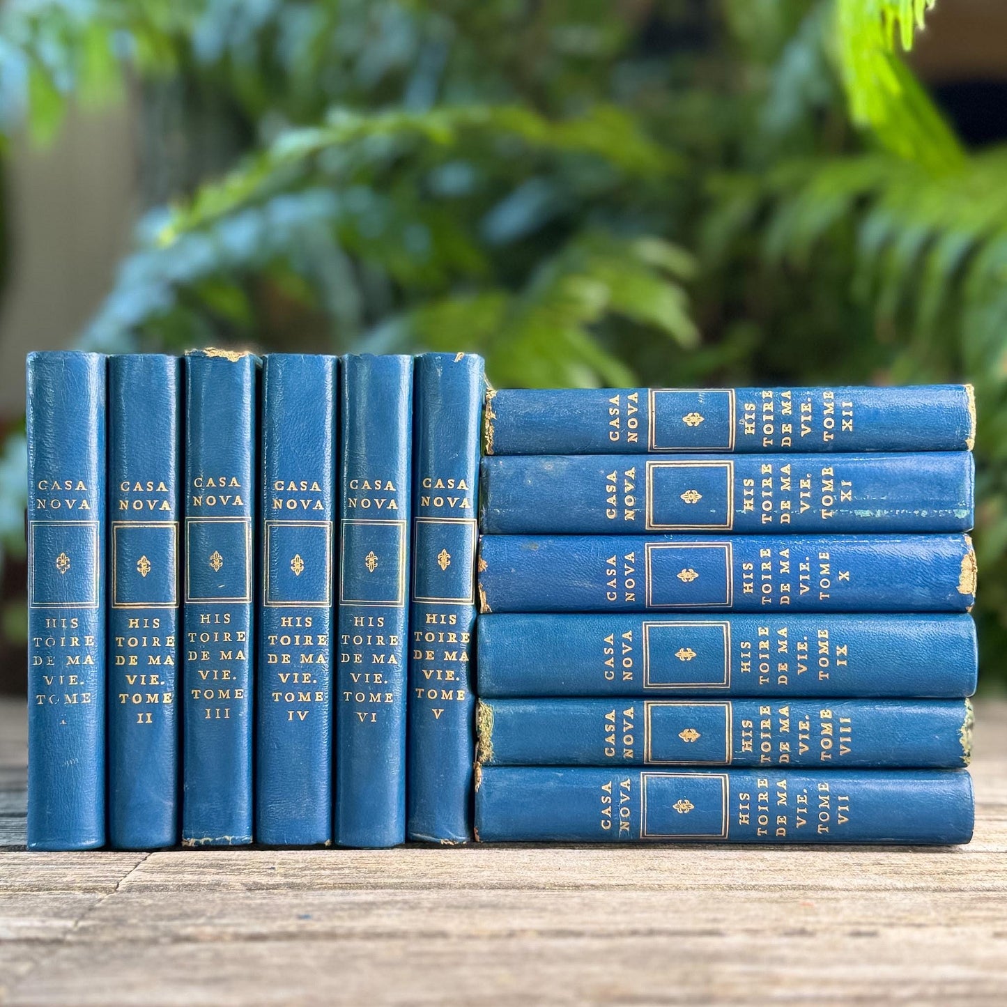 Memoirs of Casanova, Vintage Blue Mini Books in French