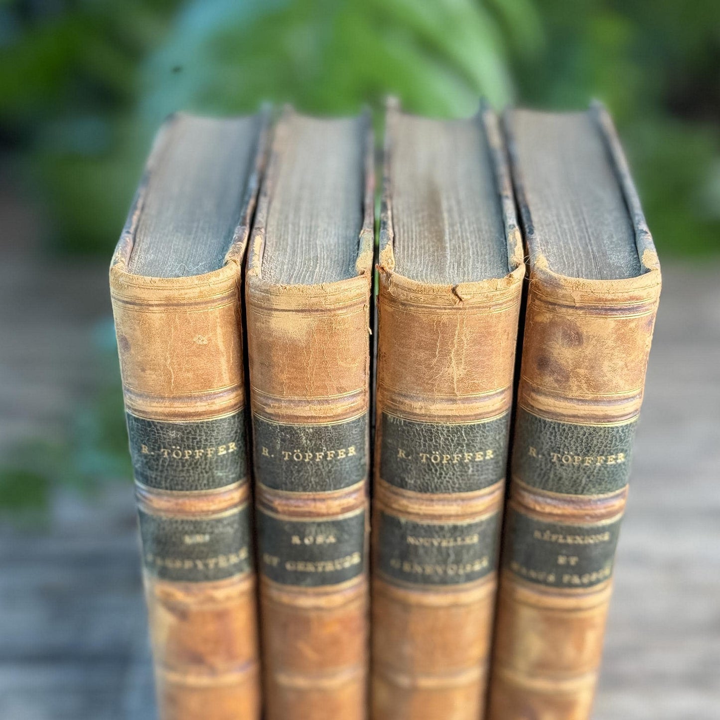 Antique Leather-Bound French Book Set, Topffer, 1860s