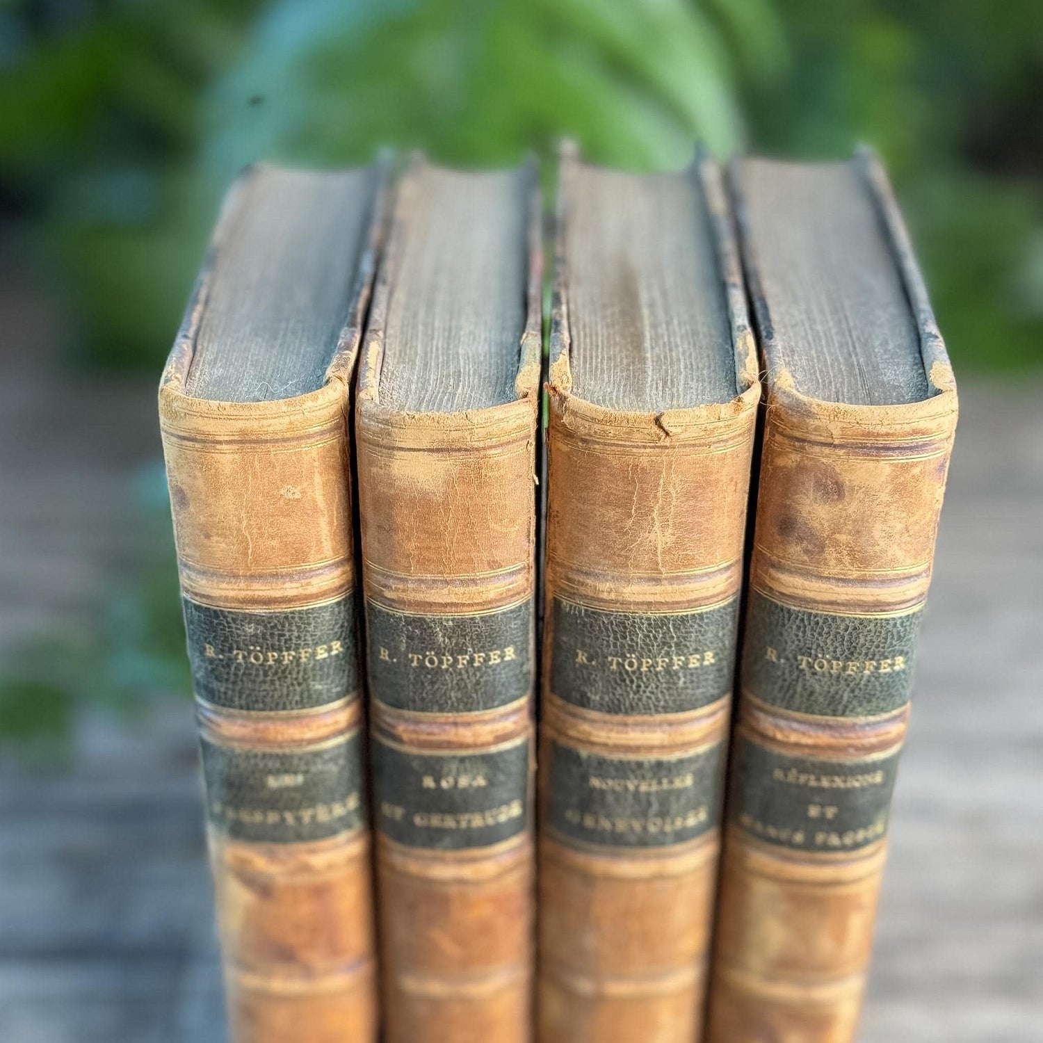 Antique Leather-Bound French Book Set, Topffer, 1860s