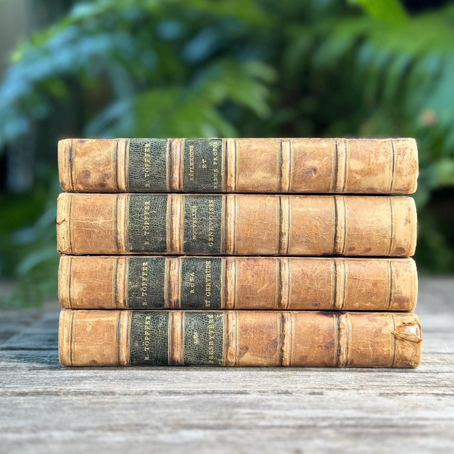 Antique Leather-Bound French Book Set, Topffer, 1860s