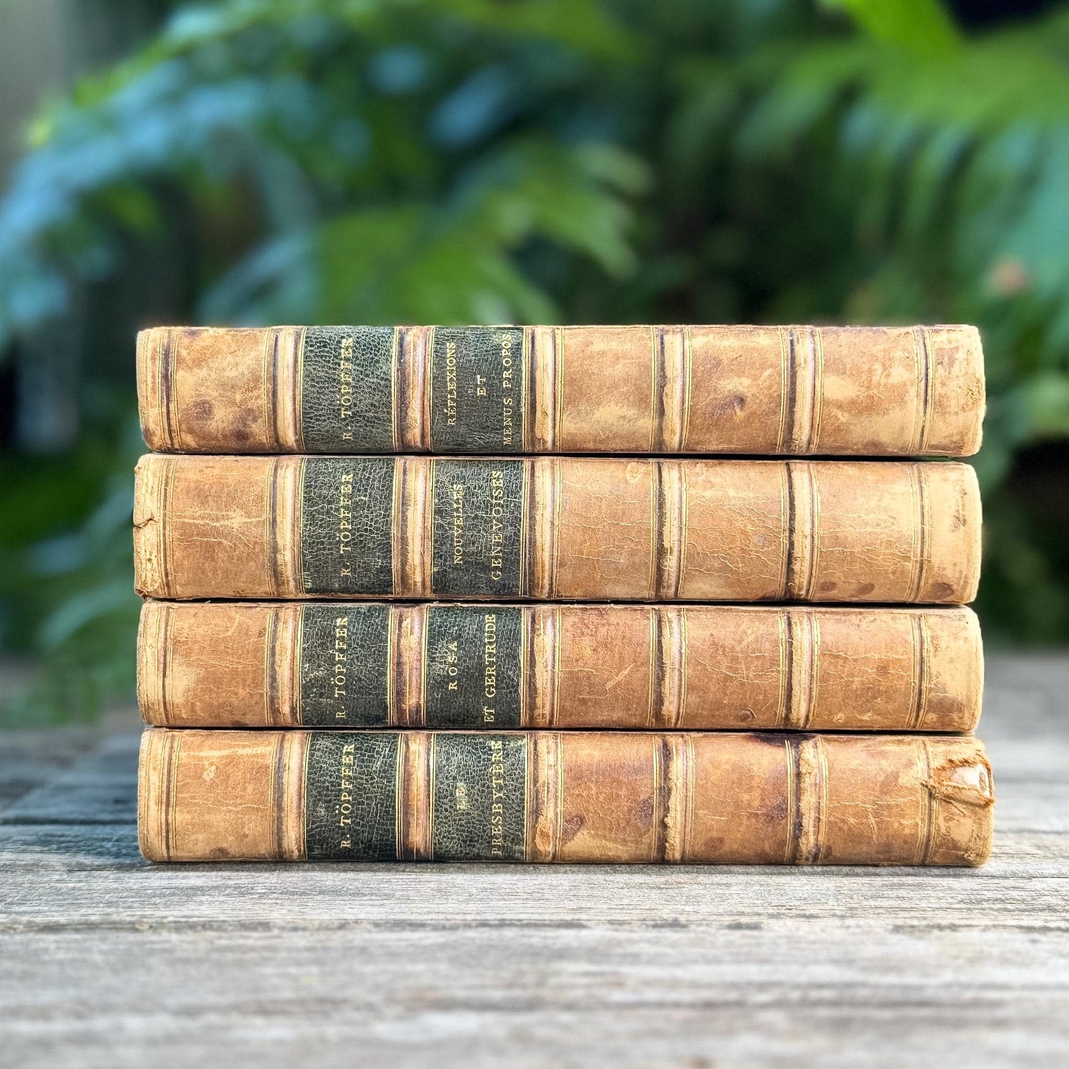 Antique Leather-Bound French Book Set, Topffer, 1860s