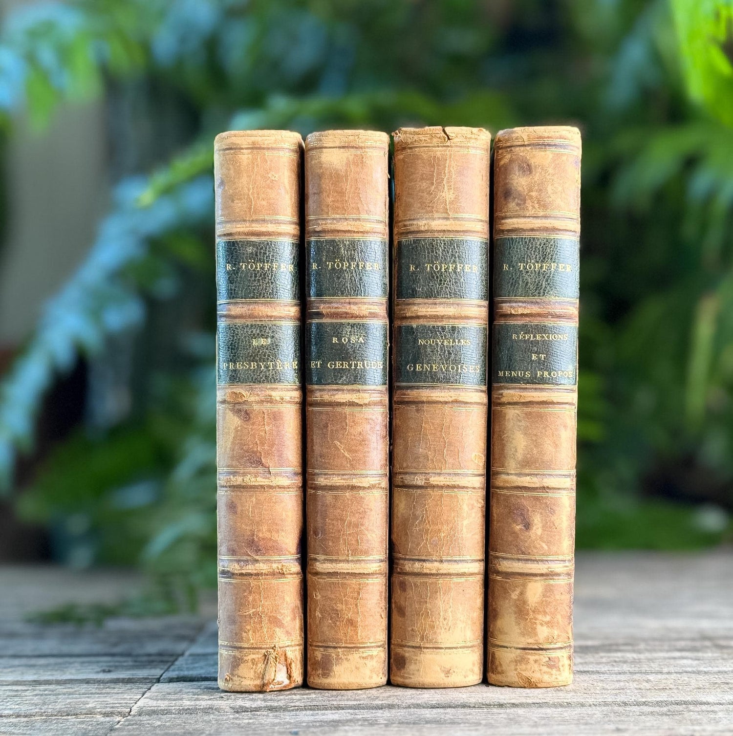 Antique Leather-Bound French Book Set, Topffer, 1860s