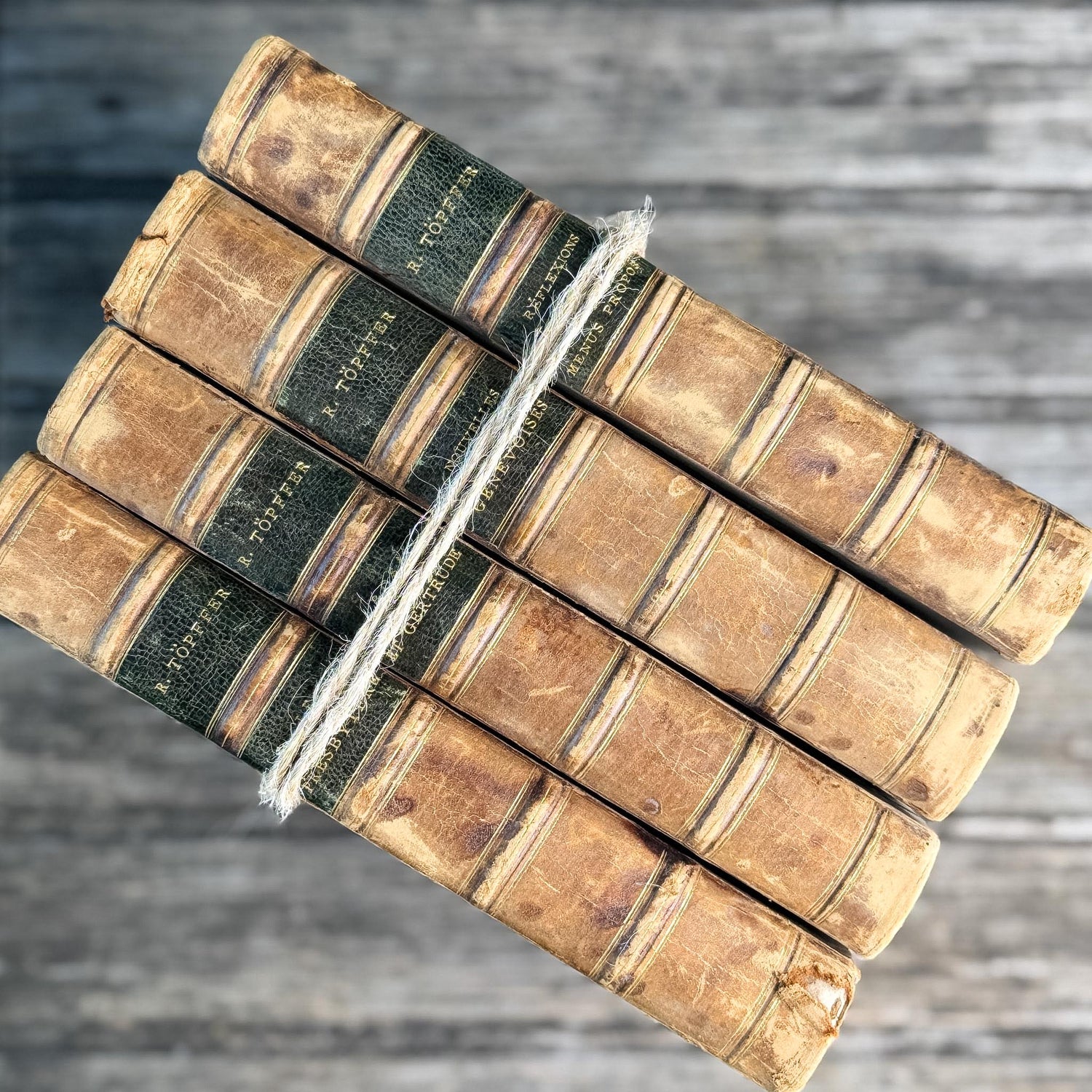 Antique Leather-Bound French Book Set, Topffer, 1860s
