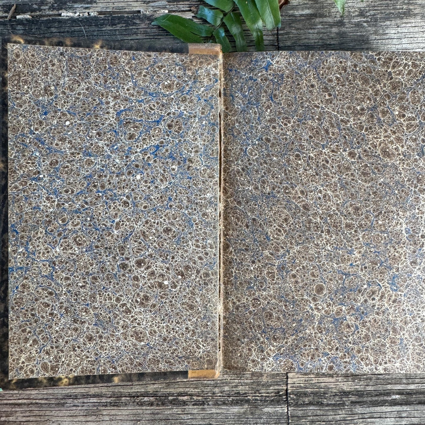 Antique Leather-Bound French Book Set, Topffer, 1860s
