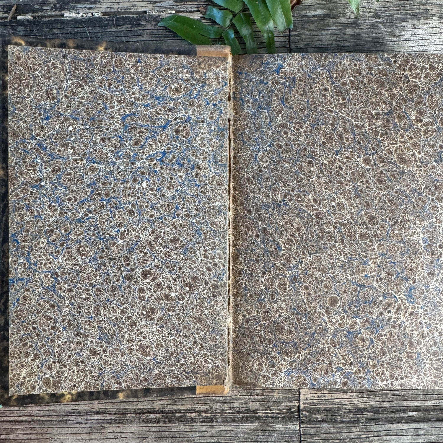Antique Leather-Bound French Book Set, Topffer, 1860s