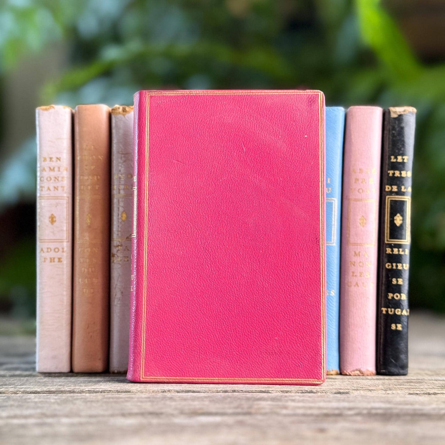 Vintage French Classics Book Set of 11 Jewel-Tone Leather Volumes from Le Club Français du Livre