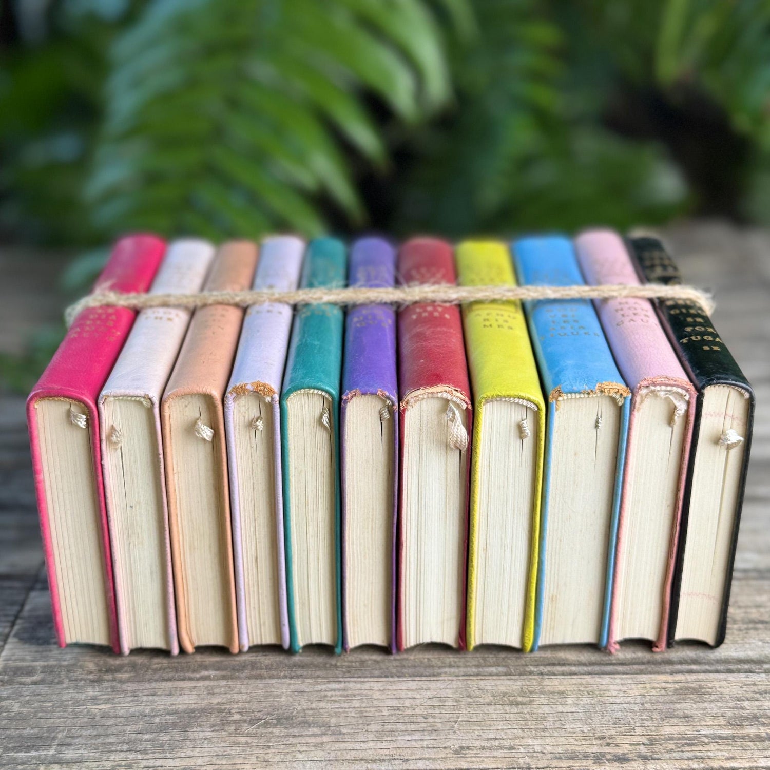 Vintage French Classics Book Set of 11 Jewel-Tone Leather Volumes from Le Club Français du Livre