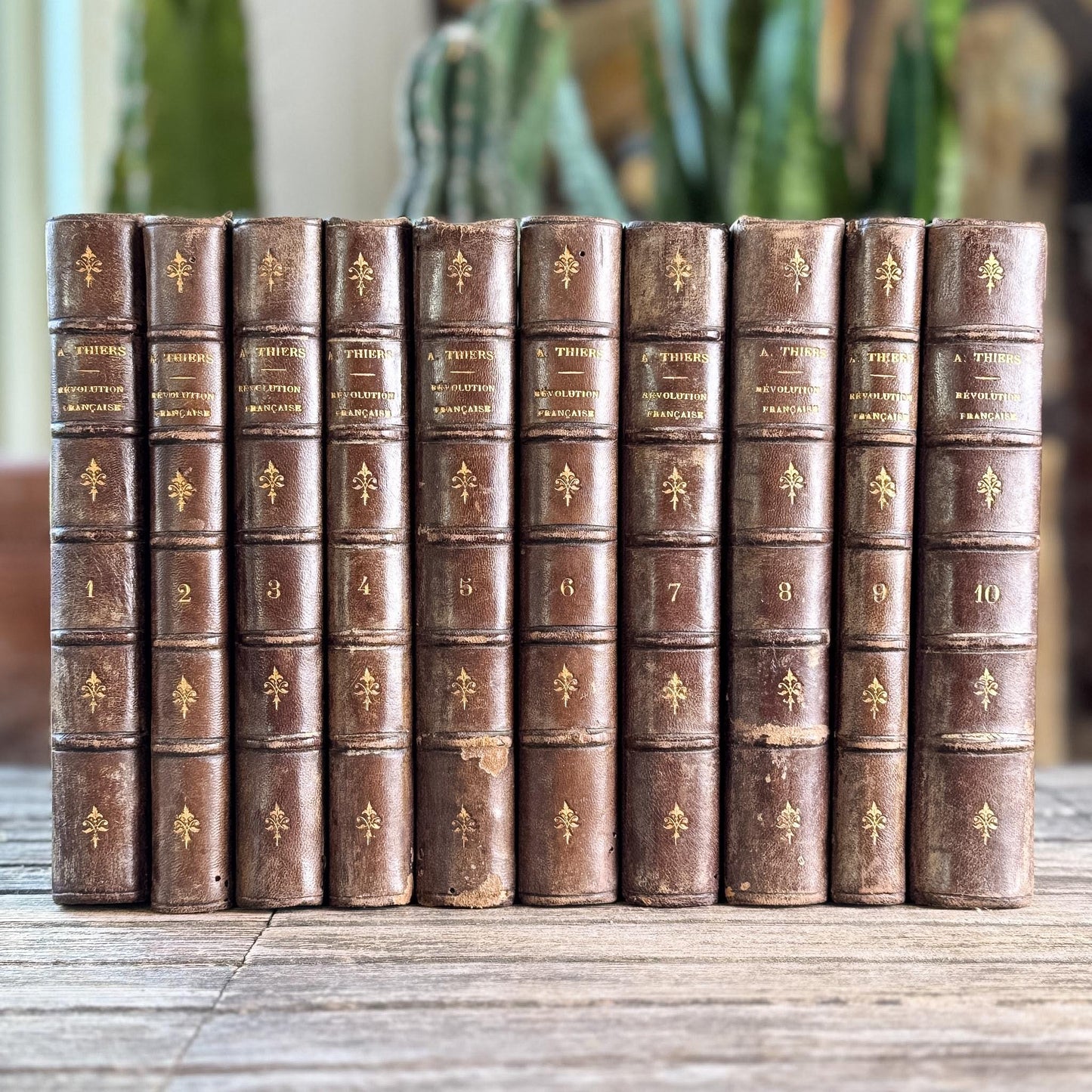 Antique French Leather Book Set, Thiers Histoire de la Révolution Française, 1834, 10 Volumes