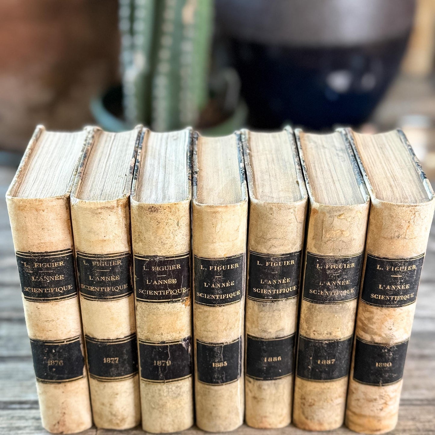 Antique French Book Set of L'Année Scientifique et Industrielle by Louis Figuier, 7 Volumes