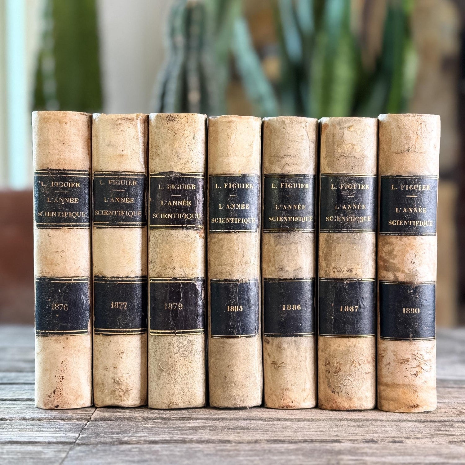Antique French Book Set of L'Année Scientifique et Industrielle by Louis Figuier, 7 Volumes
