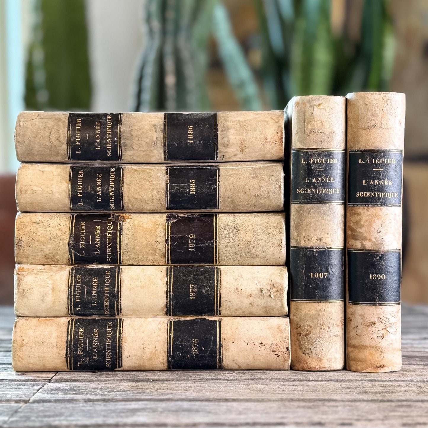 Antique French Book Set of L'Année Scientifique et Industrielle by Louis Figuier, 7 Volumes