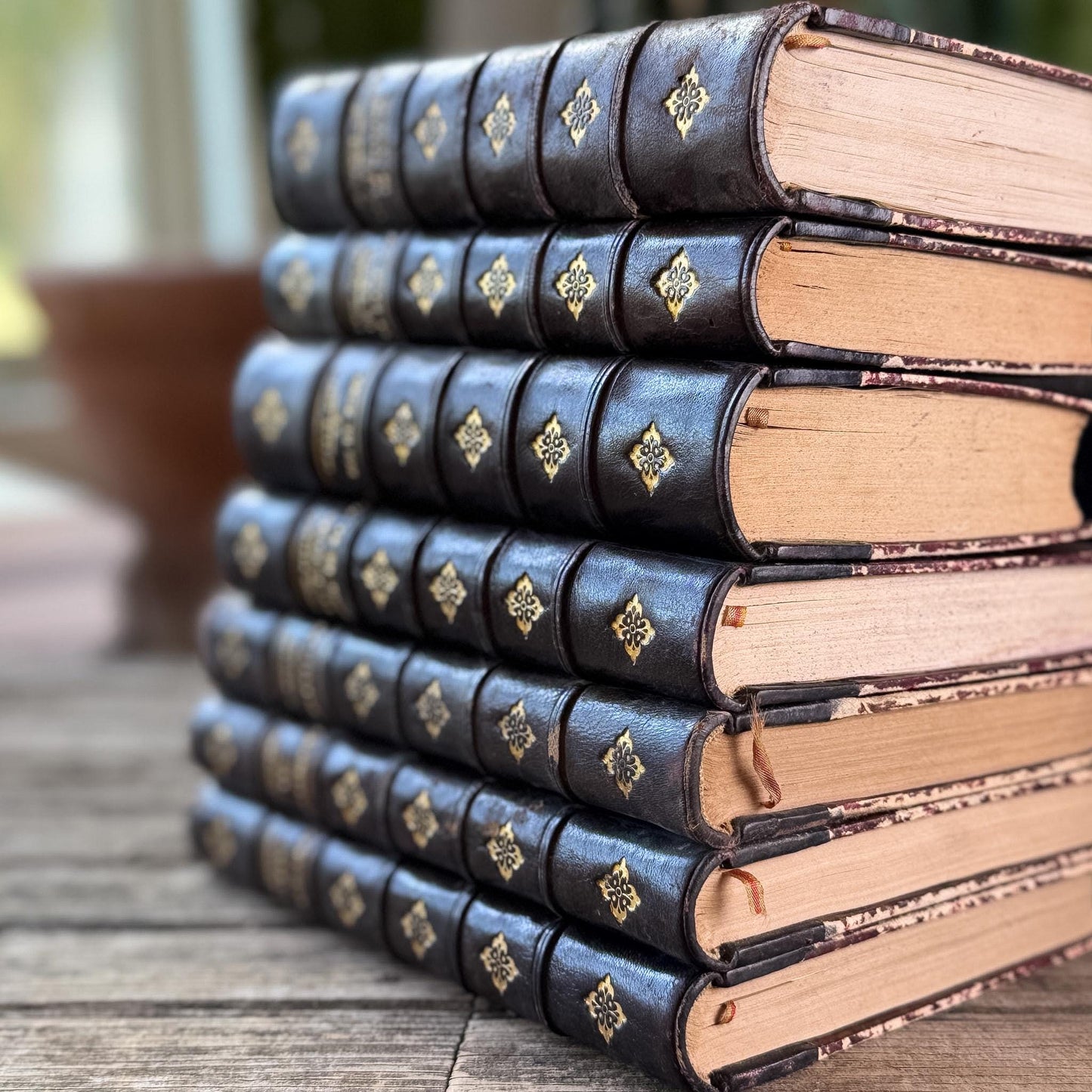 Dark Brown Leather French Antique Book Set