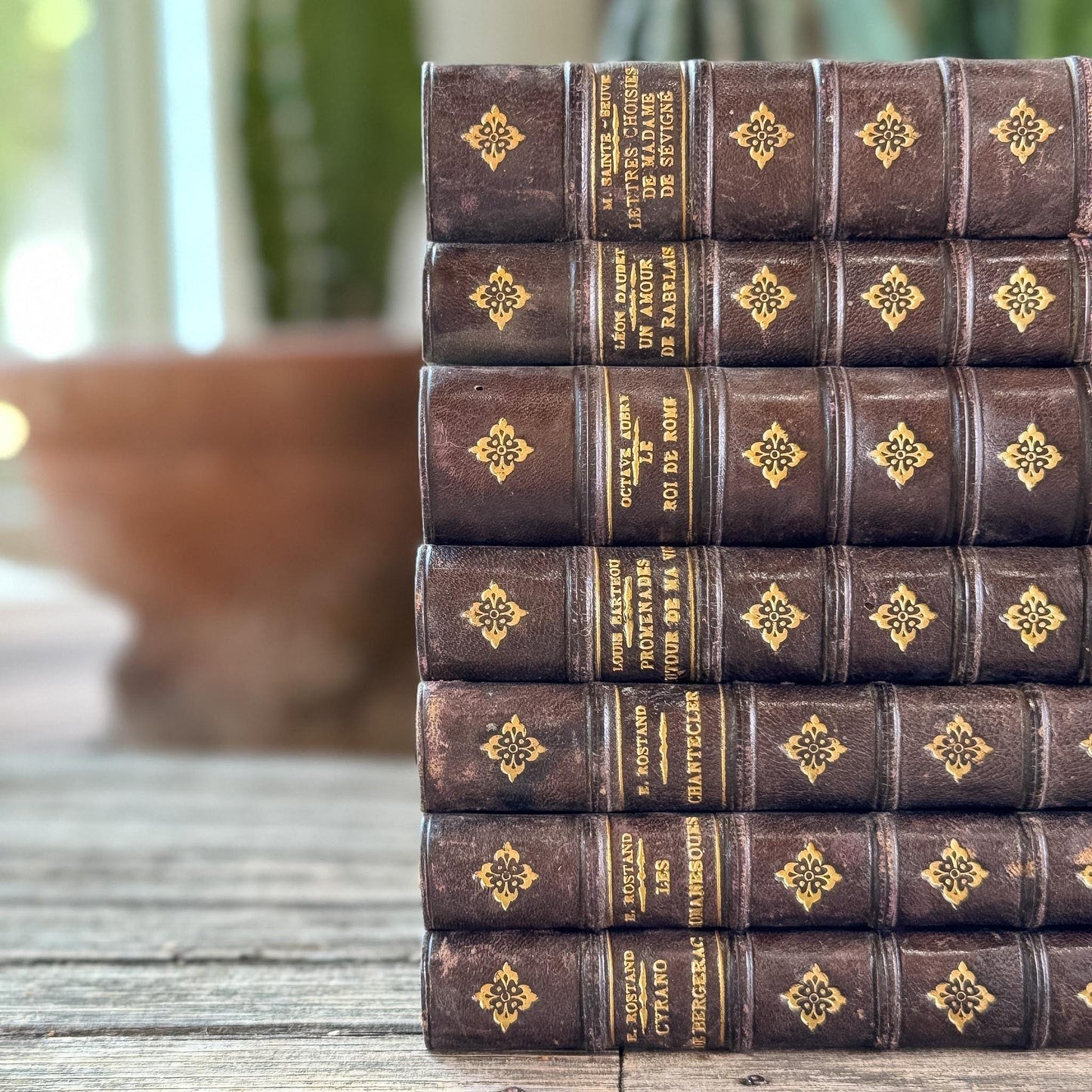 Dark Brown Leather French Antique Book Set