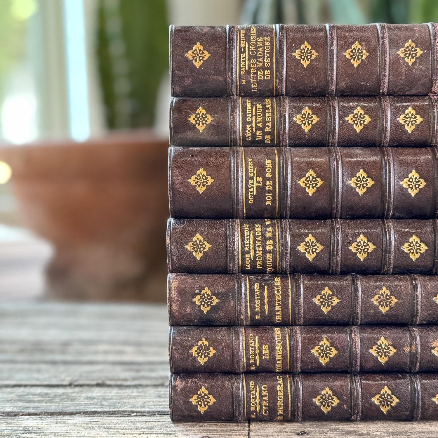 Dark Brown Leather French Antique Book Set