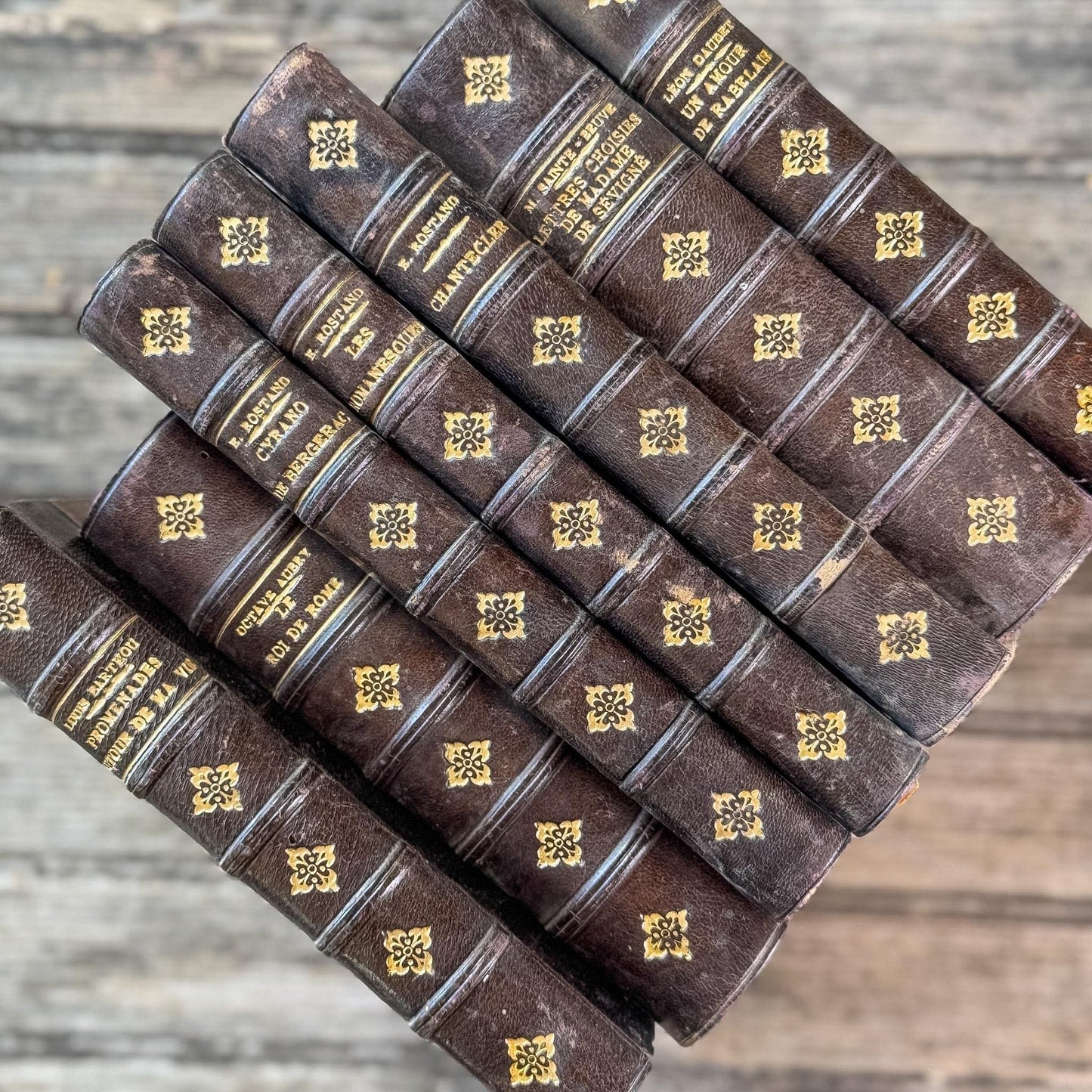 Dark Brown Leather French Antique Book Set