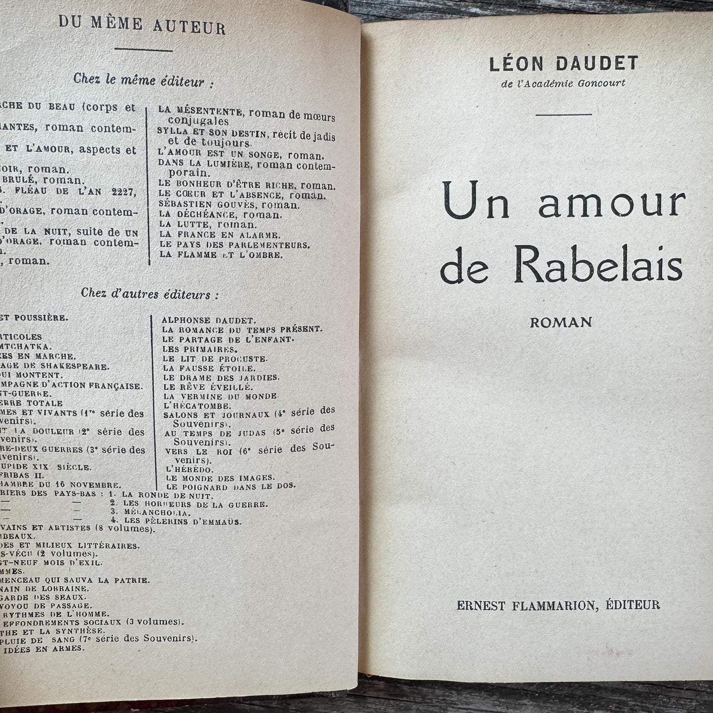 Dark Brown Leather French Antique Book Set