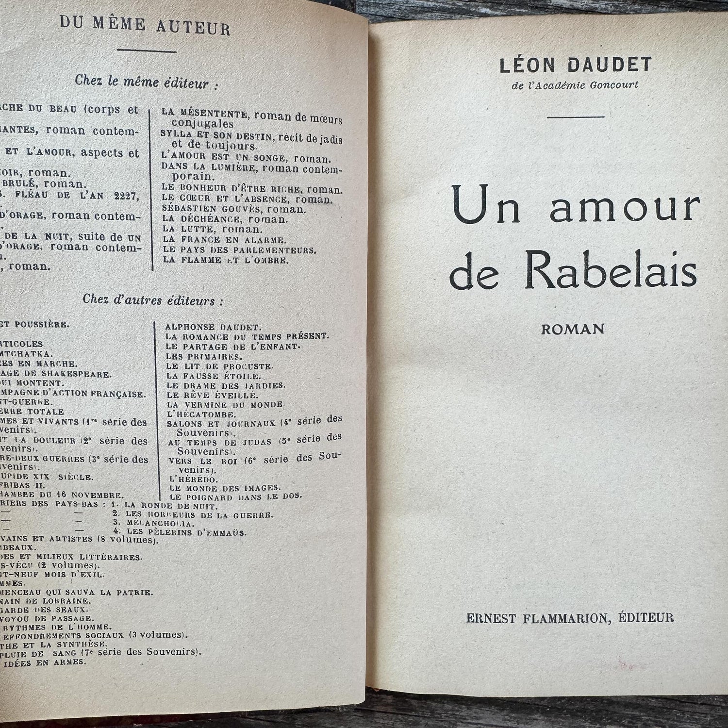 Dark Brown Leather French Antique Book Set