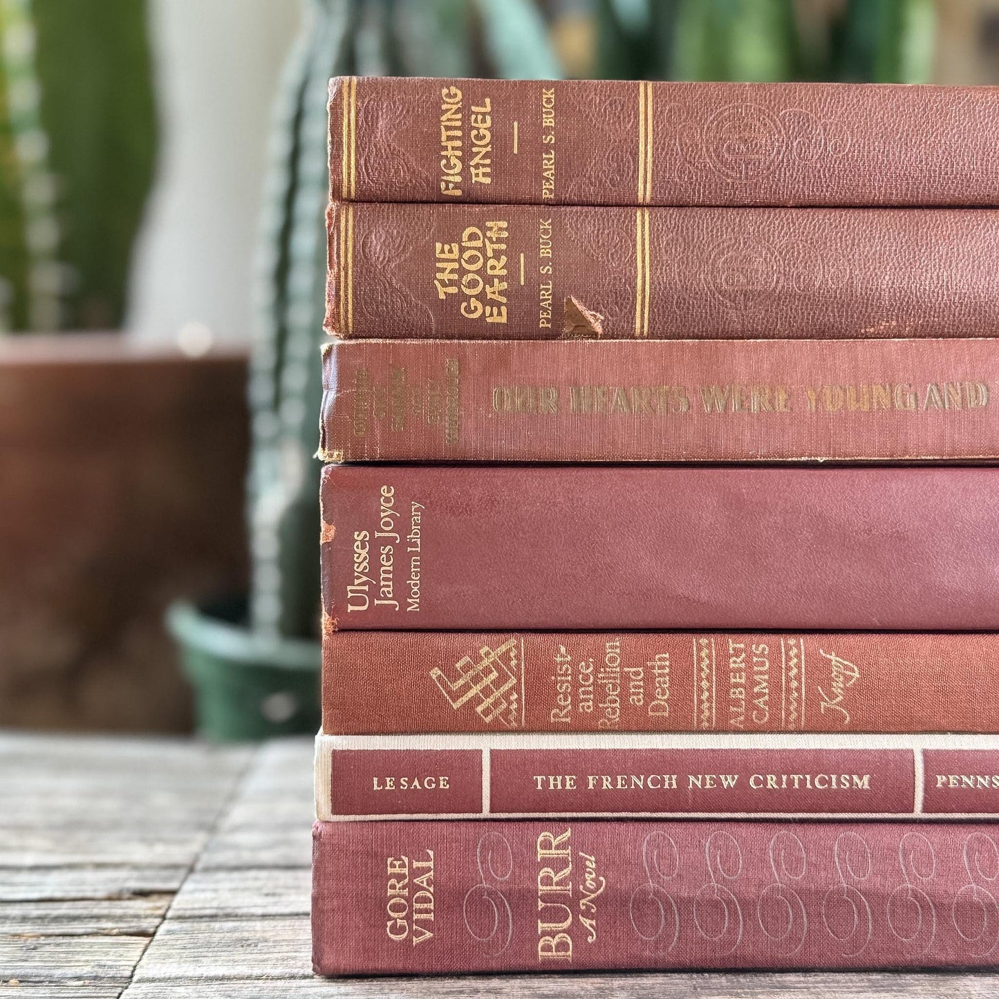 Vintage Rust Red Book Bundle for Autumnal Styling