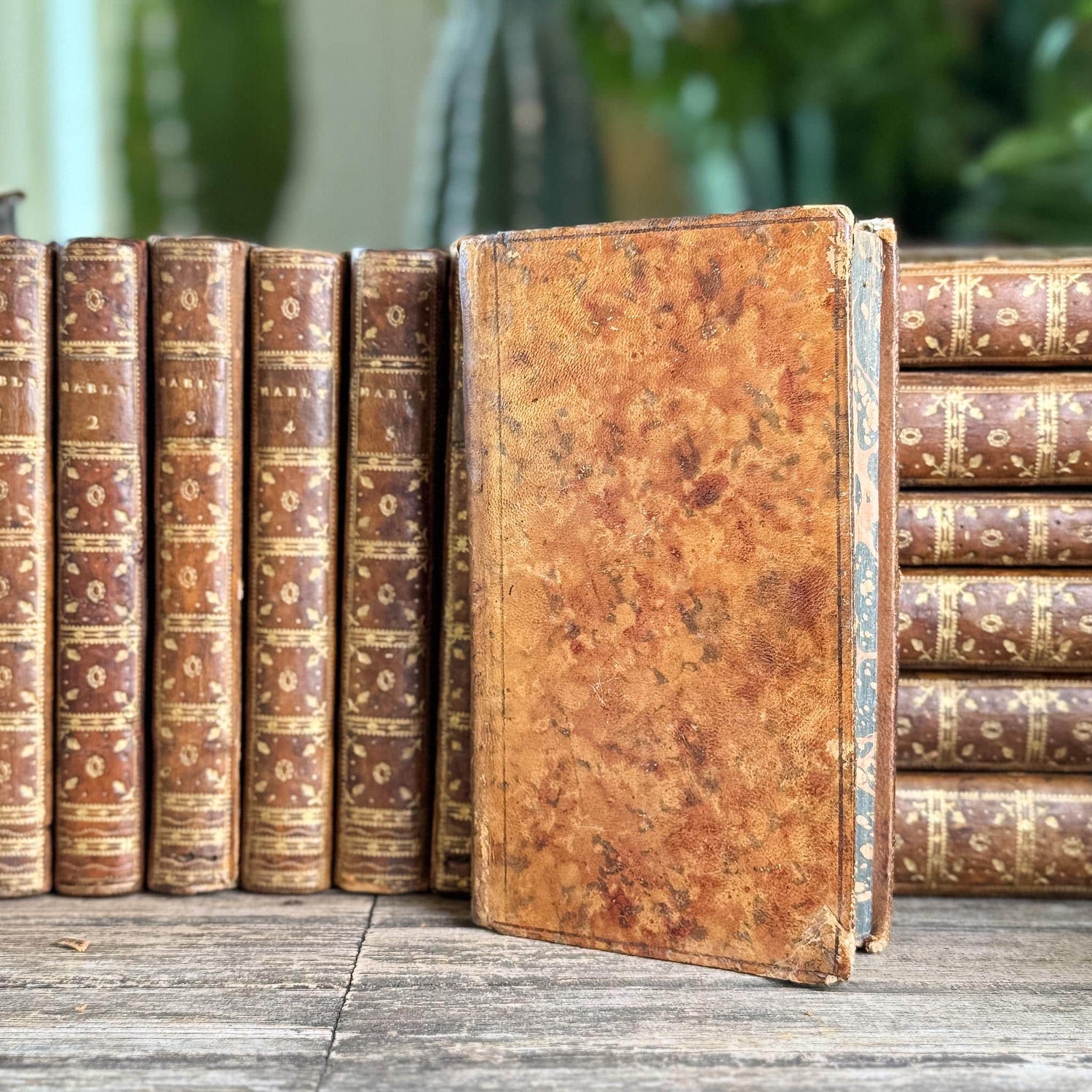 Antique French Leather Book Set, Oeuvres Complettes de Mably, 1790, 21 Volumes