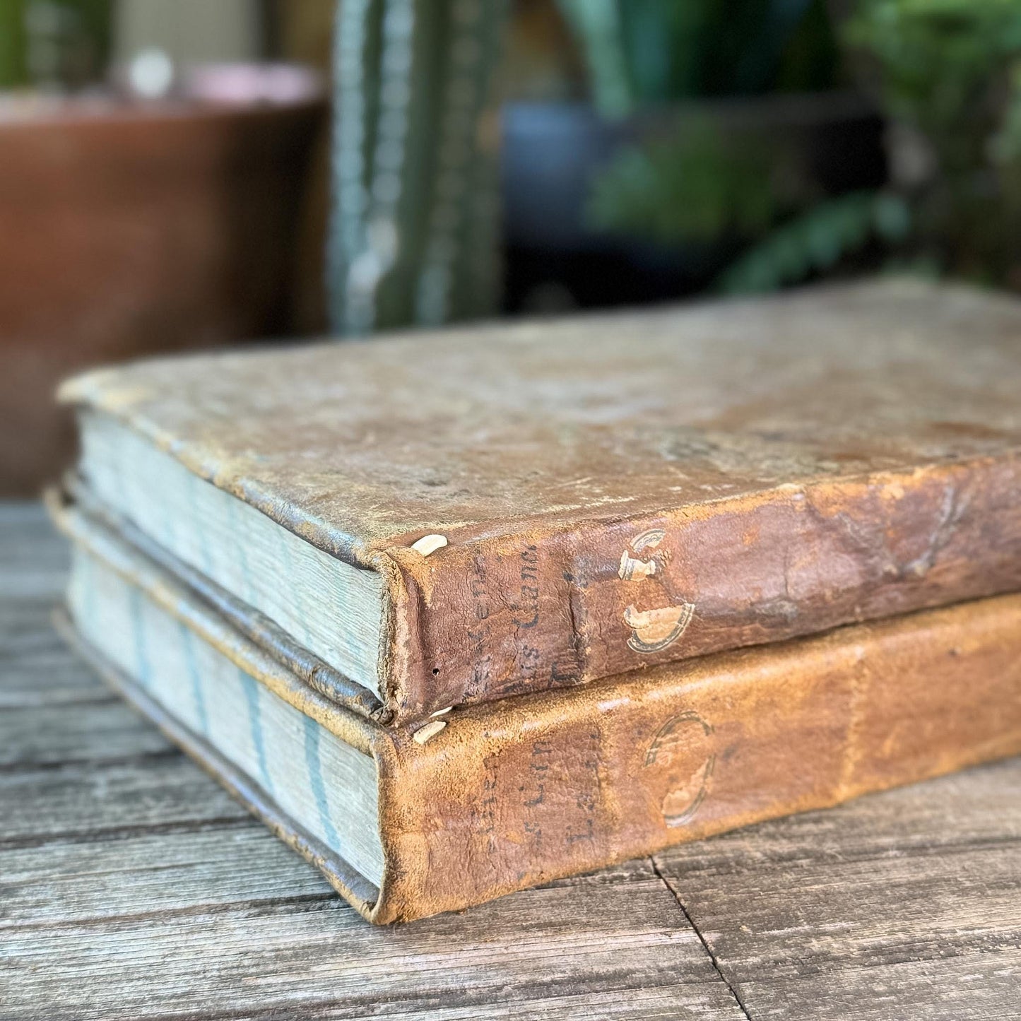 Antique 1778 Vellum Canon Law Book Set in Latin, Jus Canonicum Universum, 2 Volumes