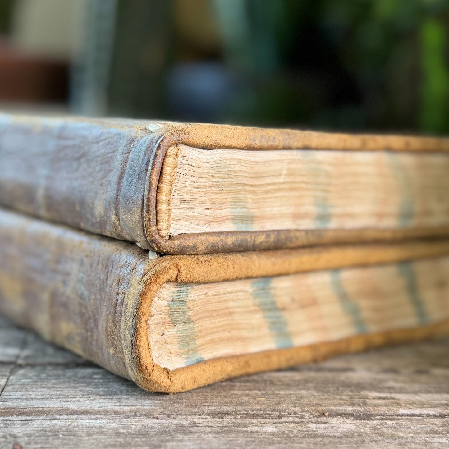 Antique 1778 Vellum Canon Law Book Set in Latin, Jus Canonicum Universum, 2 Volumes