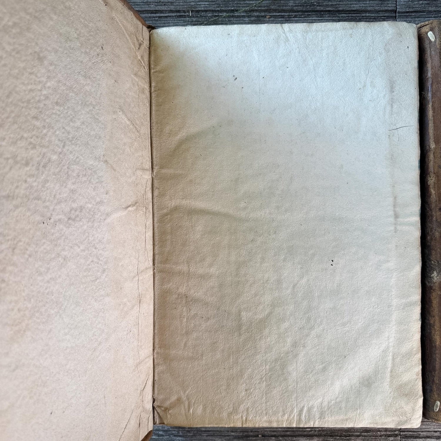Antique 1778 Vellum Canon Law Book Set in Latin, Jus Canonicum Universum, 2 Volumes