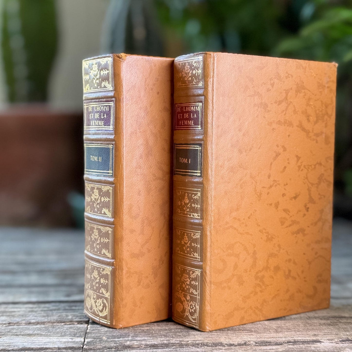 Vintage Reprint of 18th-Century French Marriage and Sex Book Set, De l'Homme et de la Femme, 1772
