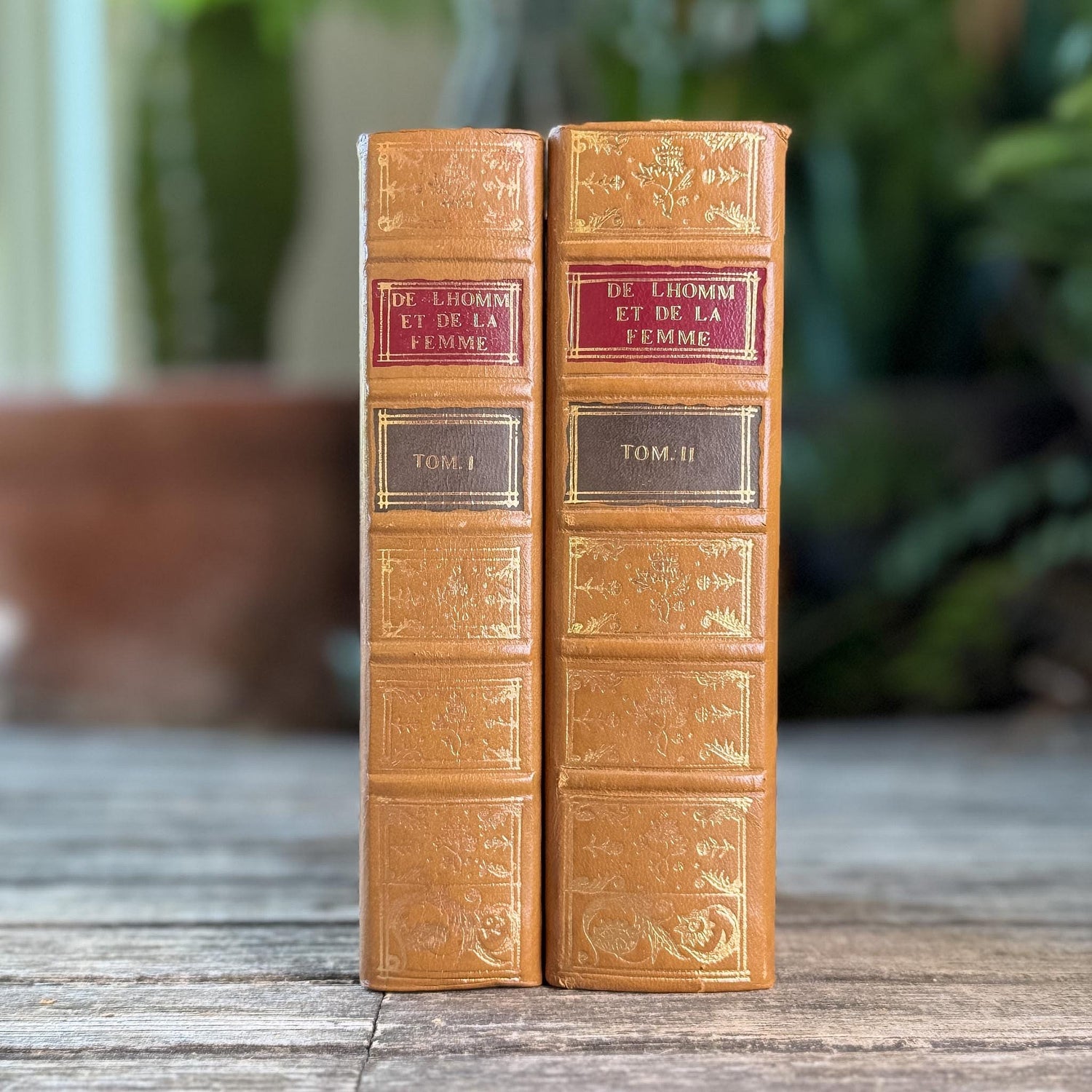 Vintage Reprint of 18th-Century French Marriage and Sex Book Set, De l'Homme et de la Femme, 1772