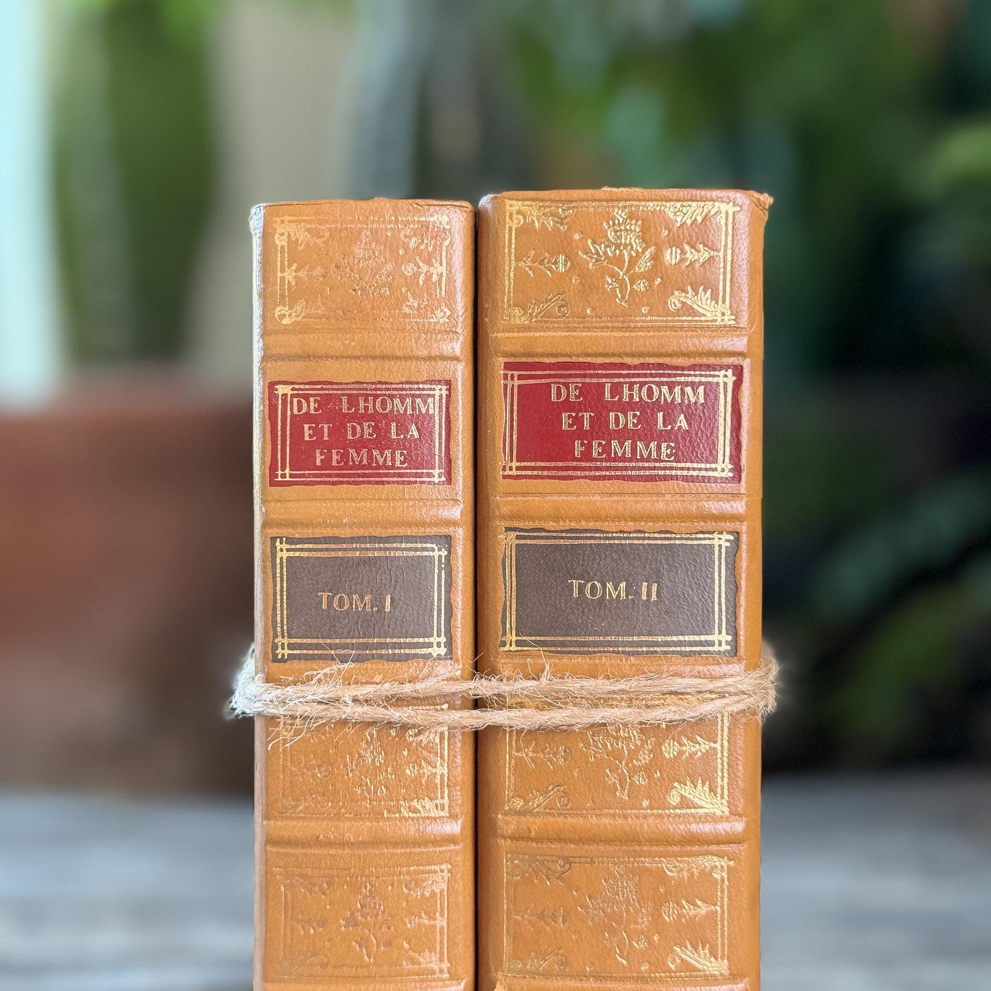 Vintage Reprint of 18th-Century French Marriage and Sex Book Set, De l'Homme et de la Femme, 1772