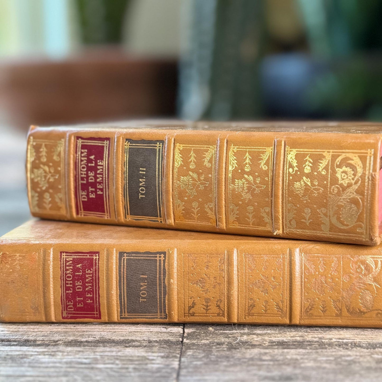 Vintage Reprint of 18th-Century French Marriage and Sex Book Set, De l'Homme et de la Femme, 1772