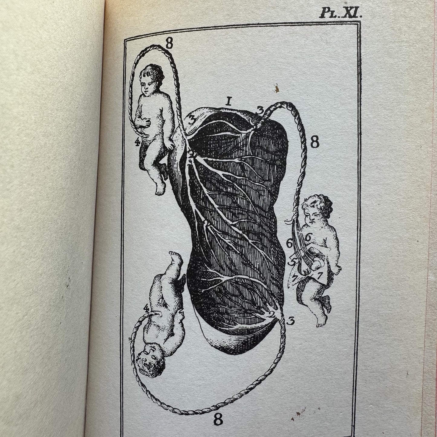 Vintage Reprint of 18th-Century French Marriage and Sex Book Set, De l'Homme et de la Femme, 1772