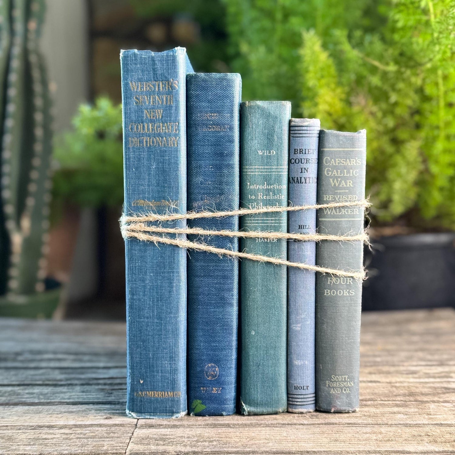 Denim Blue Vintage Book Bundle for Clean Academic Shelf Styling